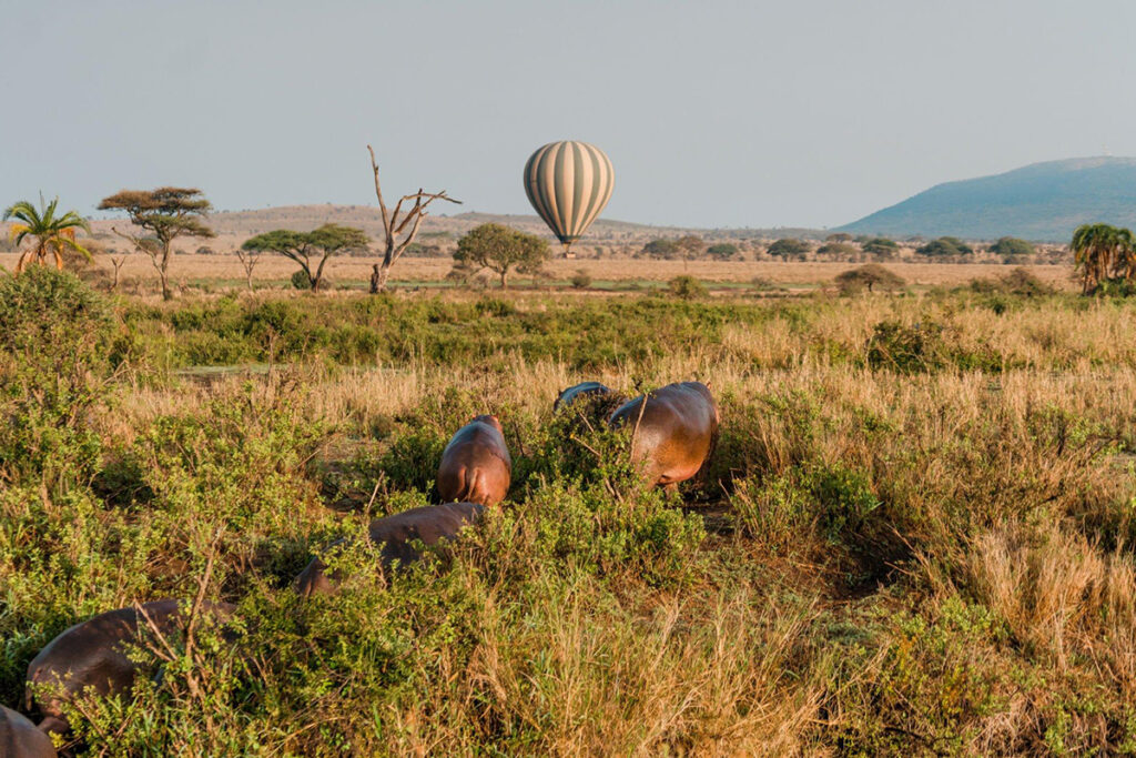 A 4-Day Fly-In Luxury Adventure