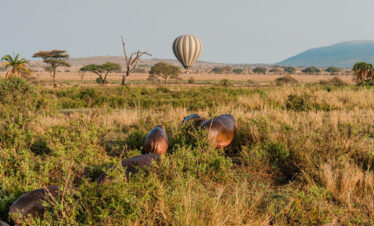 A 4-Day Fly-In Luxury Adventure