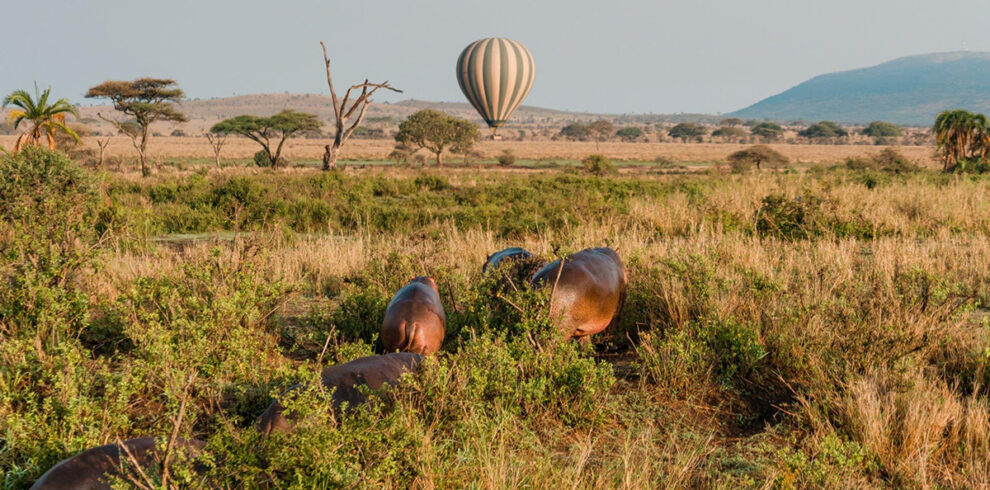 A 4-Day Fly-In Luxury Adventure