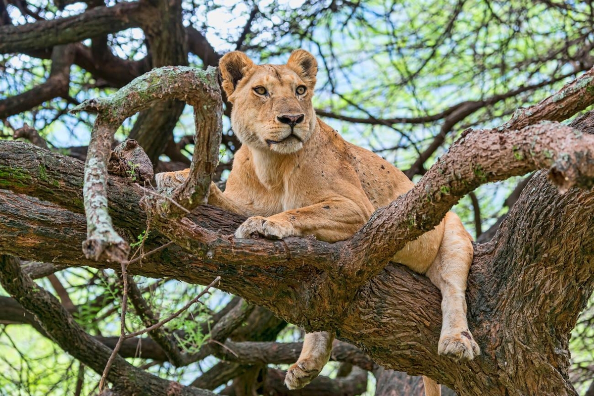 Lake Manyara National Park