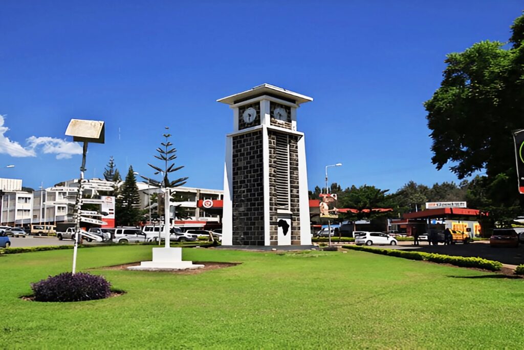 Day African Safari Tour