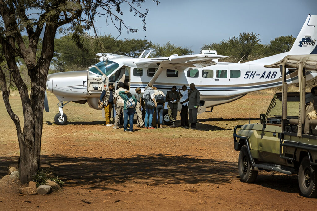 The Best Serengeti Safari
