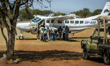 The Best Serengeti Safari