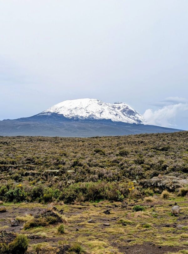 WhatsApp Image 2026-04-08 at 12.11.01 (2)